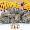 Mimosa #26