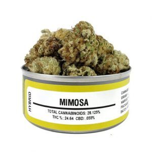 Mimosa Space Monkey