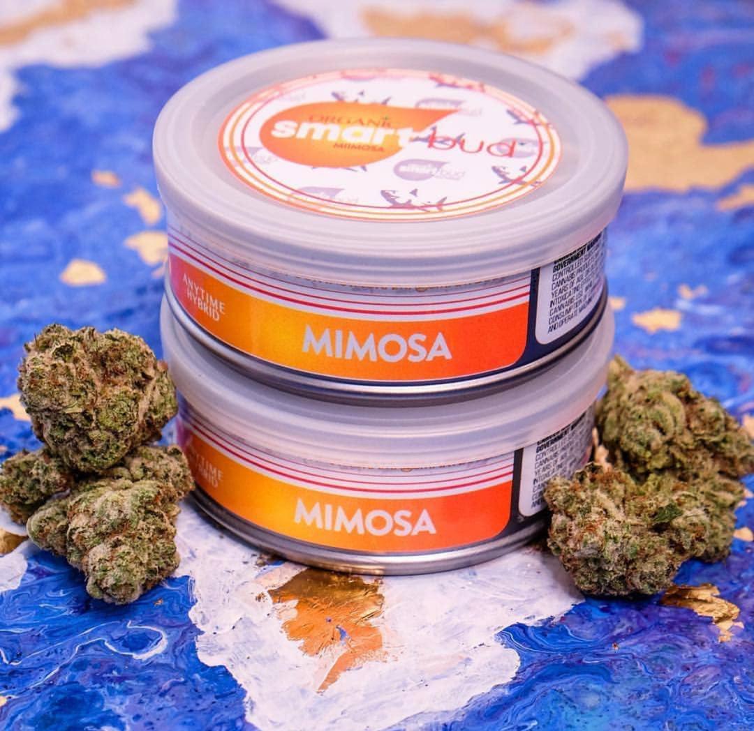 Mimosa Smart Bud