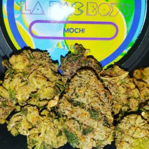 Mochi LA Pac Boys