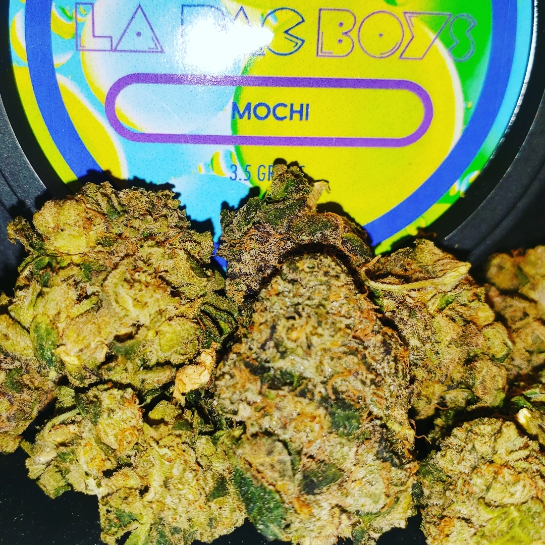 Mochi LA Pac Boys