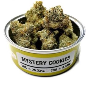 Mystery Cookies Space Monkey