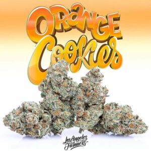 Orange Cookies