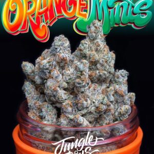 Orange Mints