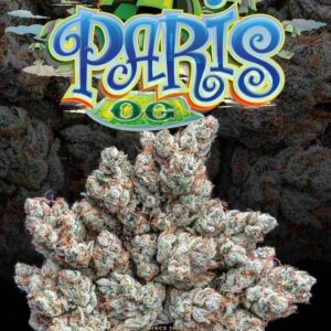 Paris OG