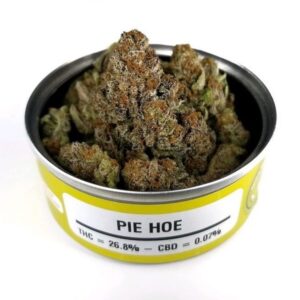 Pie Hoe Space Monkey