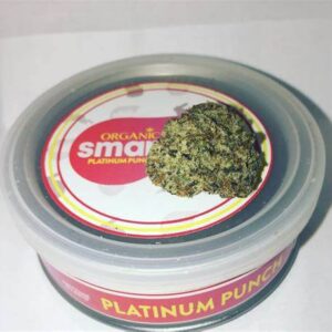 Platinum Punch Smart Bud