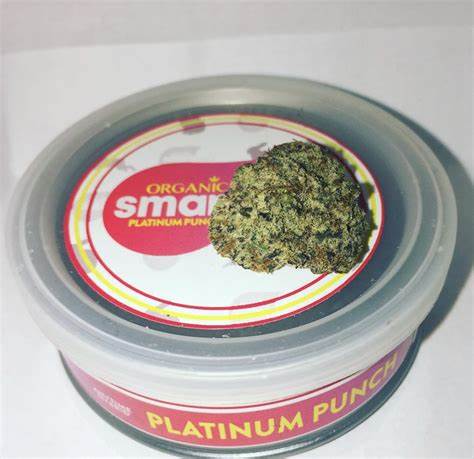 Platinum Punch Smart Bud