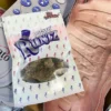 Potato Runtz Weed