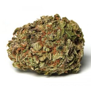 Purple Punch Weed