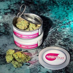 Purple Punchsicle Smart Bud