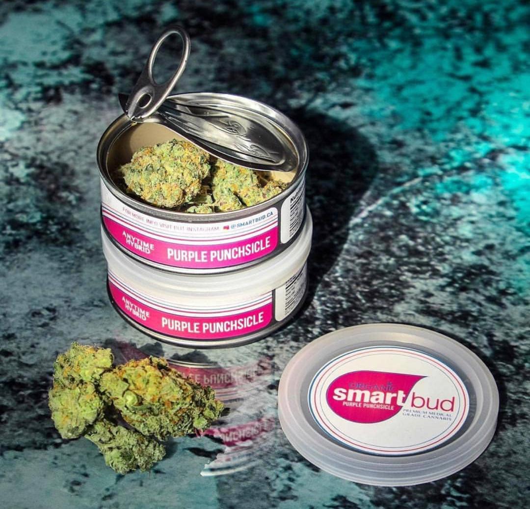 Purple Punchsicle Smart Bud