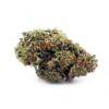 Purple Urkle Weed