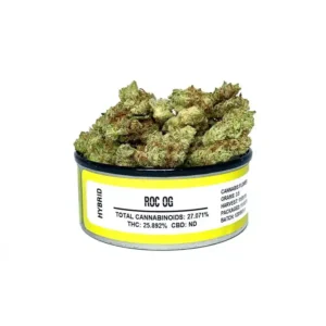 ROC OG Space Monkey