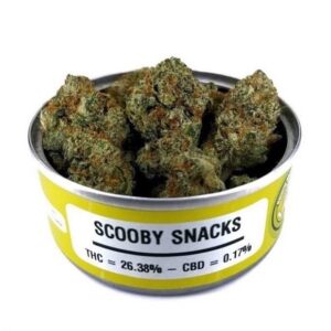Scooby Snacks Space