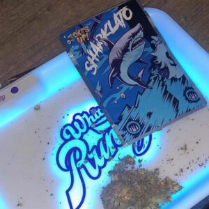 Sharklato Runtz Weed