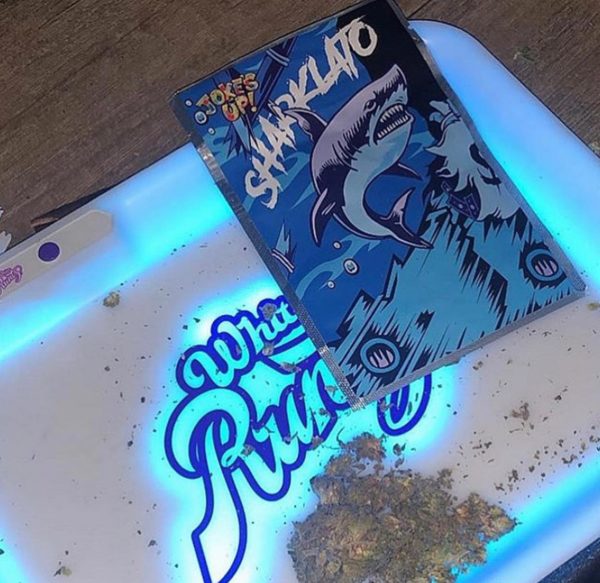 Sharklato Runtz Weed