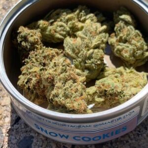 Snow Cookies Smart Bud