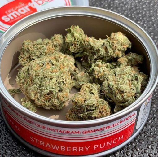 Strawberry Punch Smart Bud