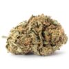 Sugar Cookie