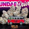 Sundae Driver