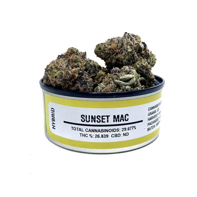 Sunset Mac Space Monkey