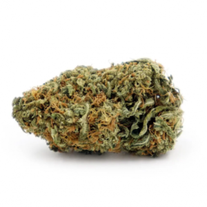 Sunset Sherbet Weed