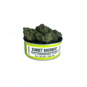 Sunset Sherbert Space Monkey