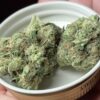 Super Sour Diesel Smart