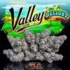 Valley Delight