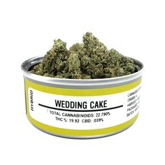 Wedding Cake Space Monkey