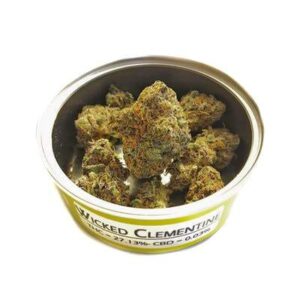 Wicked Clementine Space